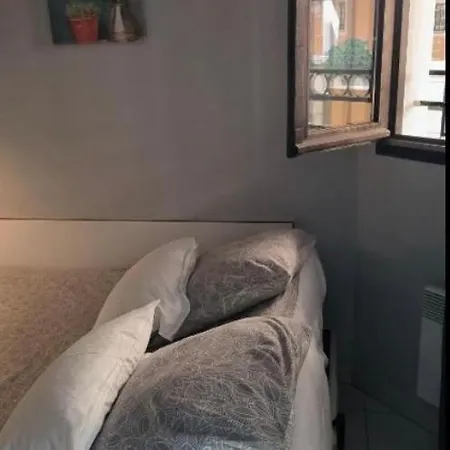 Palm D'azur 459 *