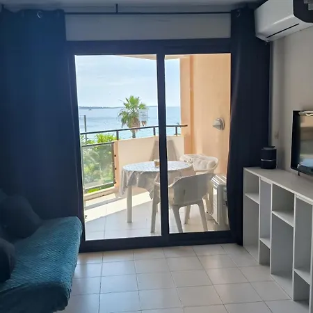 Palm D'azur 459 Cannes